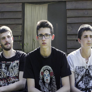 Running Tree groupe de musique country folk