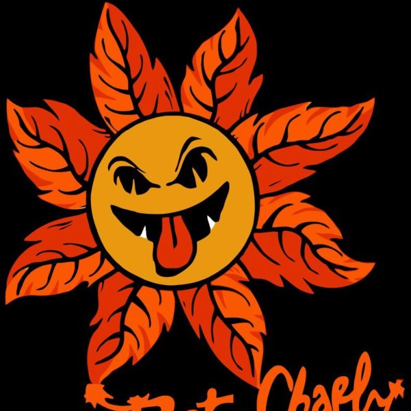 Dirty Charly groupe de musique rock cuivre